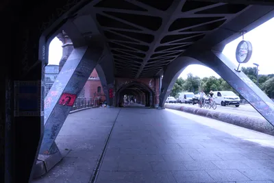 DSC_1823 (Large).JPG